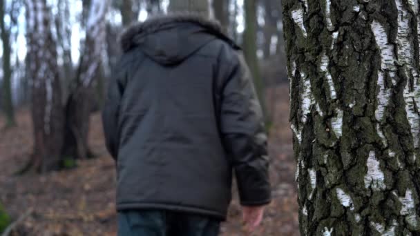 Homem Toca Árvore Deixando Para Floresta — Vídeo de Stock