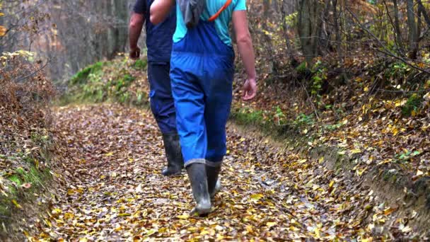 Zwei Männer Gehen Durch Wald — Stockvideo