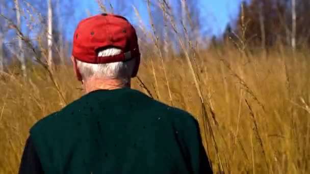 Homme Traverse Herbe Sèche Automne — Video