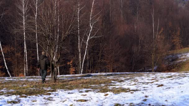 Man Går Till Lone Tree Med Våren Krokus — Stockvideo