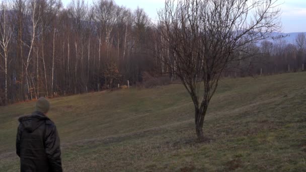 Mann Geht Mit Frühlingskrokus Einem Einsamen Baum — Stockvideo