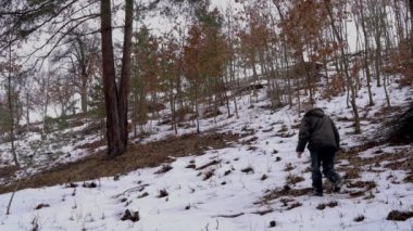 Karda yalnız bir ağaç adam gider