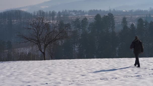 Man Gaat Naar Een Eenzame Boom Diepte Sneeuw — Stockvideo