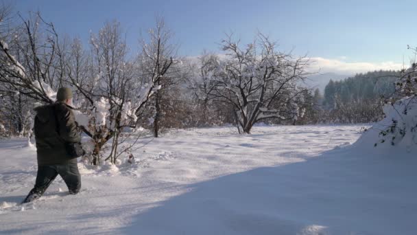 Человек Идет Одинокому Дереву Глубине Снега — стоковое видео