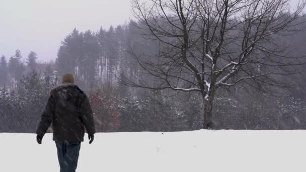 男は深さ雪の中での孤独な木に行く — ストック動画