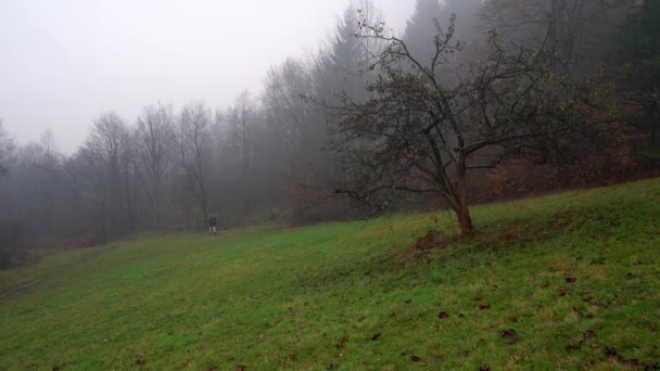 L'homme va avec un parapluie près d'un arbre solitaire et du brouillard 