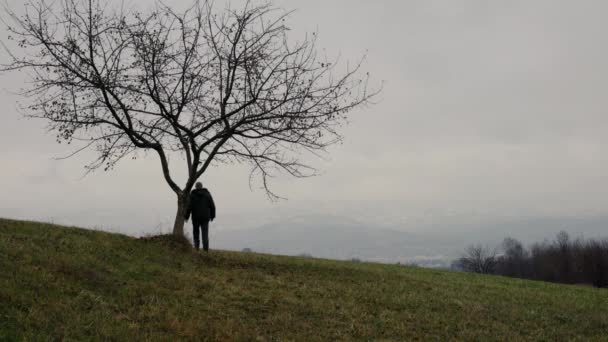 Mann Hielt Ast Einsamen Baum Und Geht Die Ferne — Stockvideo