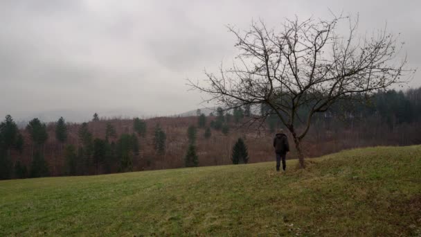 Hombre Sostenía Rama Árbol Solitario Distancia — Vídeos de Stock