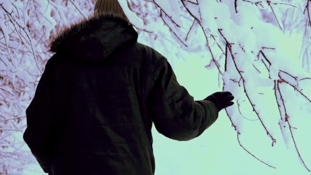 Człowiek Wstrząsnąć Śniegu Oddziałów — Wideo stockowe