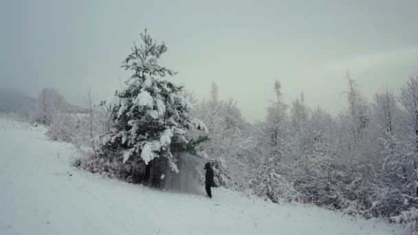 Homem Agitar Neve Árvore — Vídeo de Stock