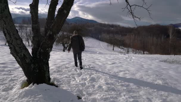 Чоловік Торкається Дерева Йде Снігом Відстань — стокове відео
