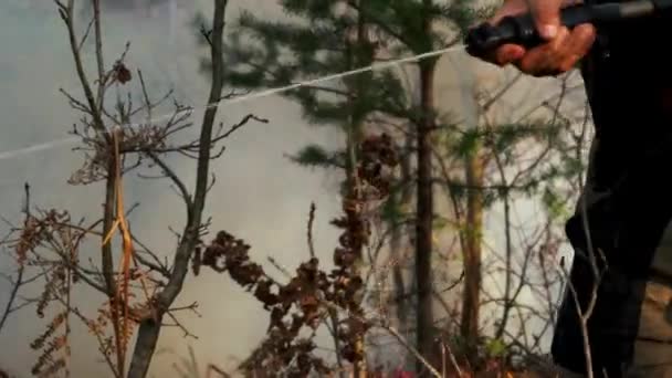 Fuego Bosque Destruye Naturaleza Bombero Extingue Fuego — Vídeos de Stock