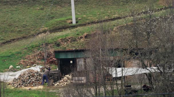 Άνθρωπος Χωρίζει Ξύλο Για Θερμότητα — Αρχείο Βίντεο