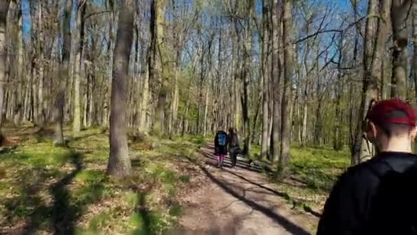 Escursionisti Con Cani Attraverso Foresta Kunraticky Kunraticky Les Praga — Video Stock