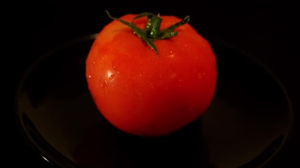 Tomato Rotation Black Background Drops Water — Stock Video