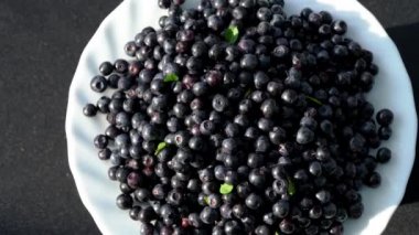 Yaban mersini rotasyon doğal aydınlatma