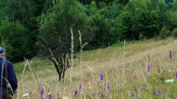 Man Goes Lone Tree — Stock Video