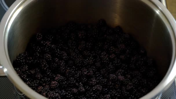 Sumo Caseiro Wild Blackberries Adicionando Açúcar — Vídeo de Stock