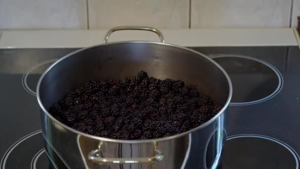 Homemade Juice Wild Blackberries Adding Sugar — Stock Video