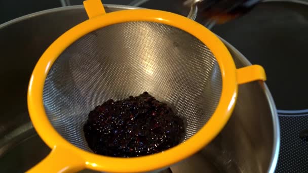 Homemade Juice Wild Blackberries Squeezing — Stock Video