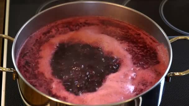 Sumo Caseiro Blackberries Cooking Selvagem Espuma Remoção — Vídeo de Stock