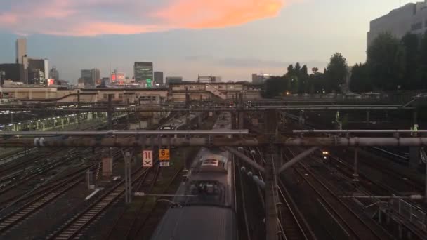 Vista Desde Japan Academy Railway Yamanote Line Tokyo Japan Agosto — Vídeo de stock