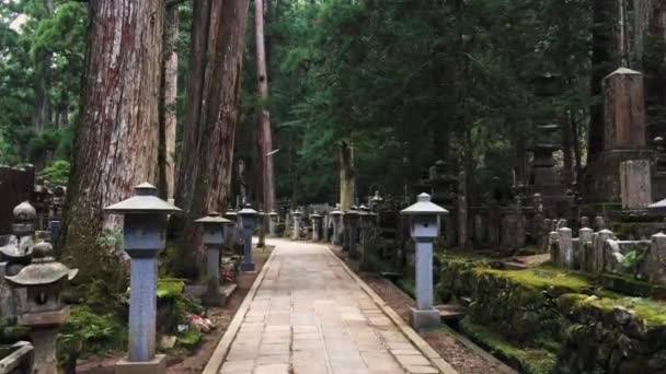 Camminando Attraverso Cimitero Okunion Wakayama Mount Koya Koyasan Giappone Agosto — Video Stock