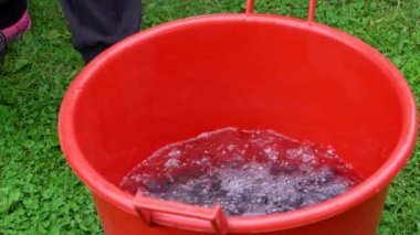 Organik erik yıkamadan reçel yapmanın eski bir yolu.