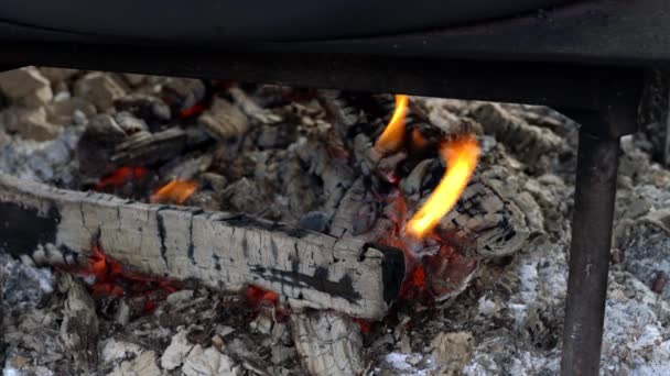 Ancienne Façon Faire Confiture Prune Feu Camp Biologique — Video