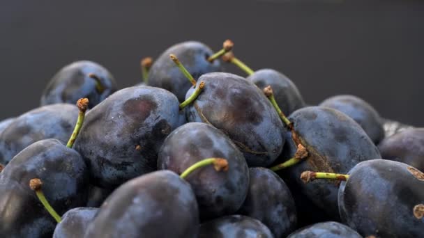 Rotation Des Prunes Mûres Biologiques Dans Bol — Video