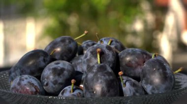 Organik olgun erikler kasede dönüyor. 