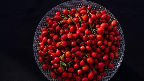 Rosa Rosa Cadera Madura Con Gotas Rotación Agua Tazón — Vídeos de Stock