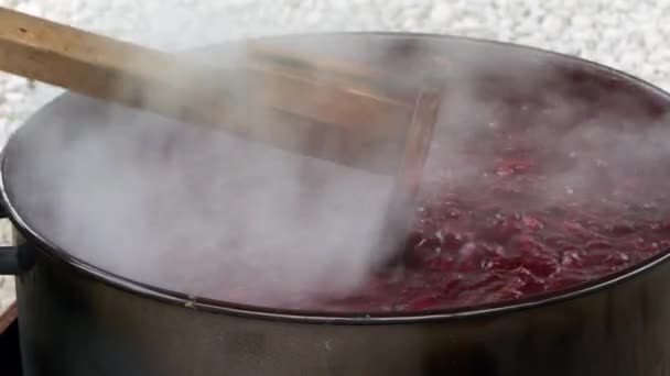 Old Way Making Jam Organic Plums Cooking Stirring — Stock Video