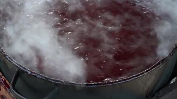 Old Way Making Jam Organic Plums Cooking Stirring — Stock Video