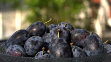 Organik olgun erikler kasede dönüyor.