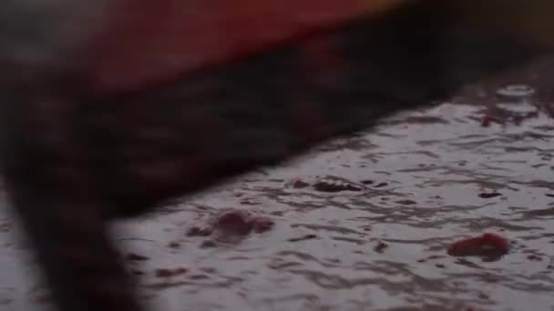 Ancienne façon de faire de la confiture de prunes bio-cuisson et agitation 