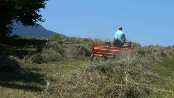 Traktor Převrátí Suchou Trávu Létě — Stock video