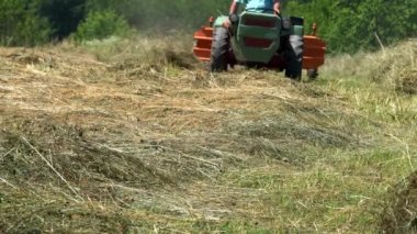 Traktör yazın kuru otları devirir.