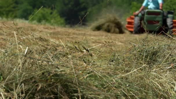 Tractor Overturns Dry Grass Summer — ストック動画