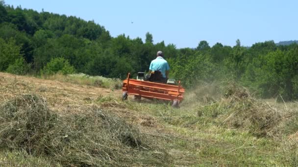 拖拉机在夏天倾覆干草 — 图库视频影像