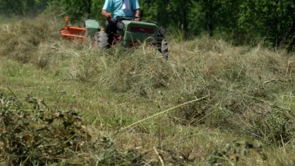 Traktor Kippt Sommer Trockenes Gras — Stockvideo