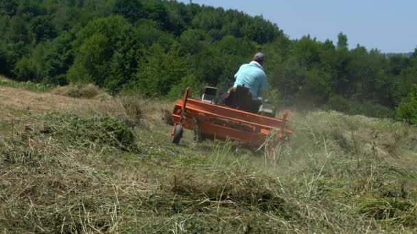 Traktor Převrátí Suchou Trávu Létě — Stock video