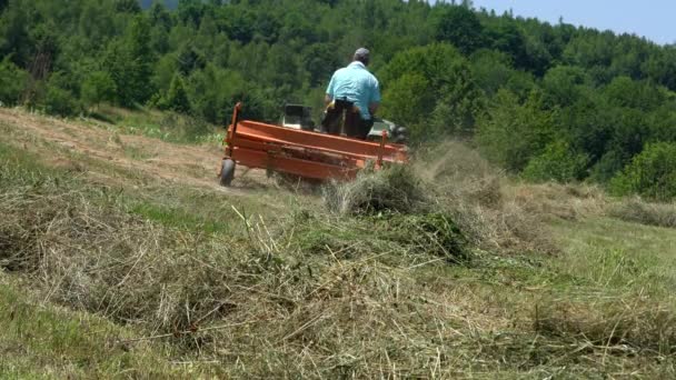 Traktor Převrátí Suchou Trávu Létě — Stock video