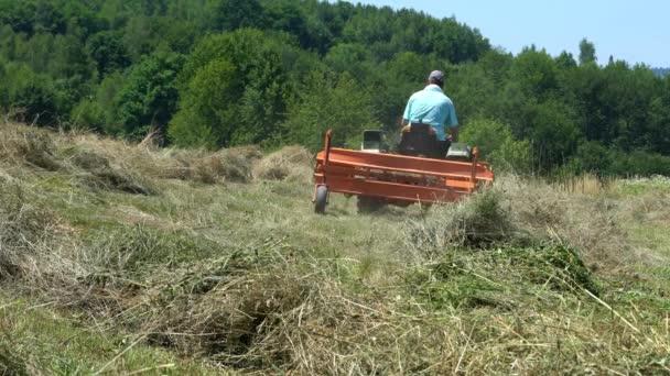 拖拉机在夏天倾覆干草 — 图库视频影像
