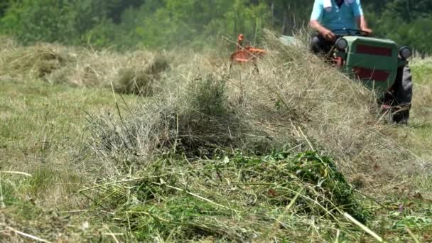 Tractor Overturns Dry Grass Summer — Stock Video