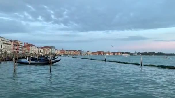 Γόνδολες Λικνίζονται Απαλά Στο Κανάλι Της Βενετίας Βενετία Ιταλία October — Αρχείο Βίντεο