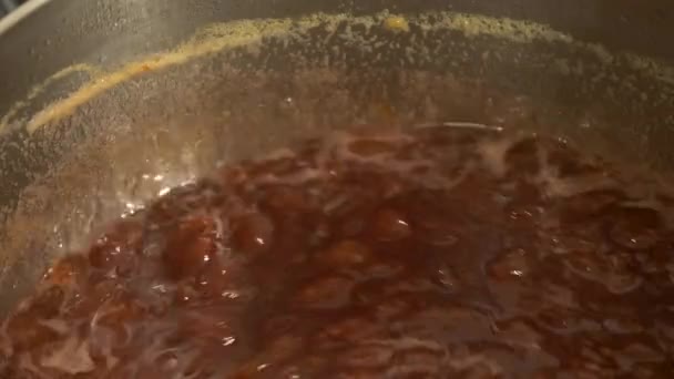 Reife Bio Kirschen Für Marmelade Kochen Und Rühren — Stockvideo