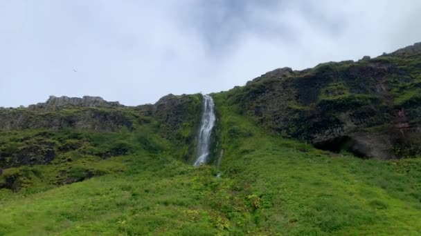 Seljalandsfoss Cachoeira Largura Islândia Cascata — Vídeo de Stock