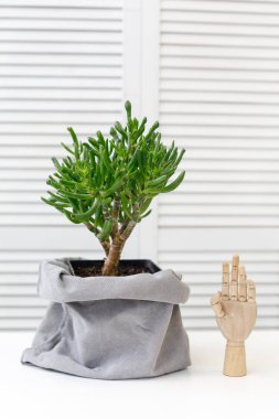 kaktüs ve dekoratif ahşap el iç