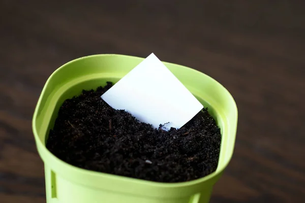 Flower pot with earth and white paper for writing the date and name of the plant — Stock Photo, Image